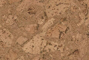 IC49003 阿姆斯特丹