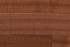 PMT3KJ0053 沙比利3P